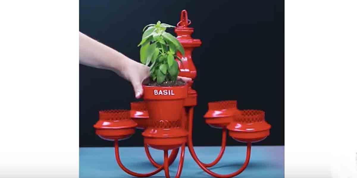 She Shows Us Some Clever And Unique Ways To Grow Plants In Small Spaces. Watch!