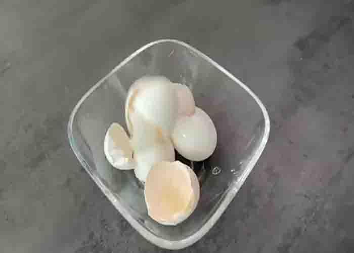 Using eggshells to make the blender's blade sharp again