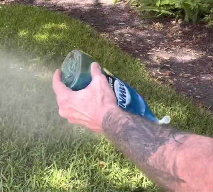 How to Kill Pests in Your Garden