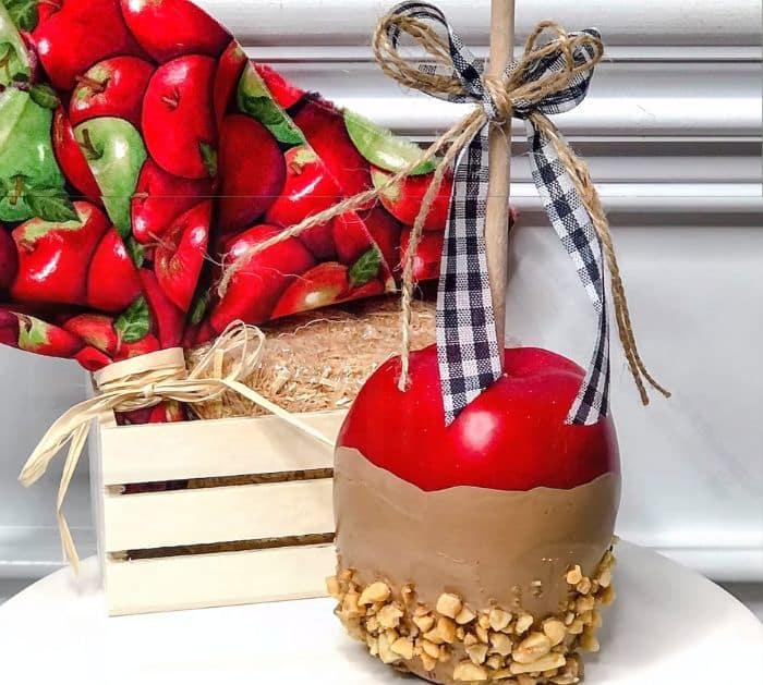 DIY Dollar Tree Fall Apple Home Decor crafts