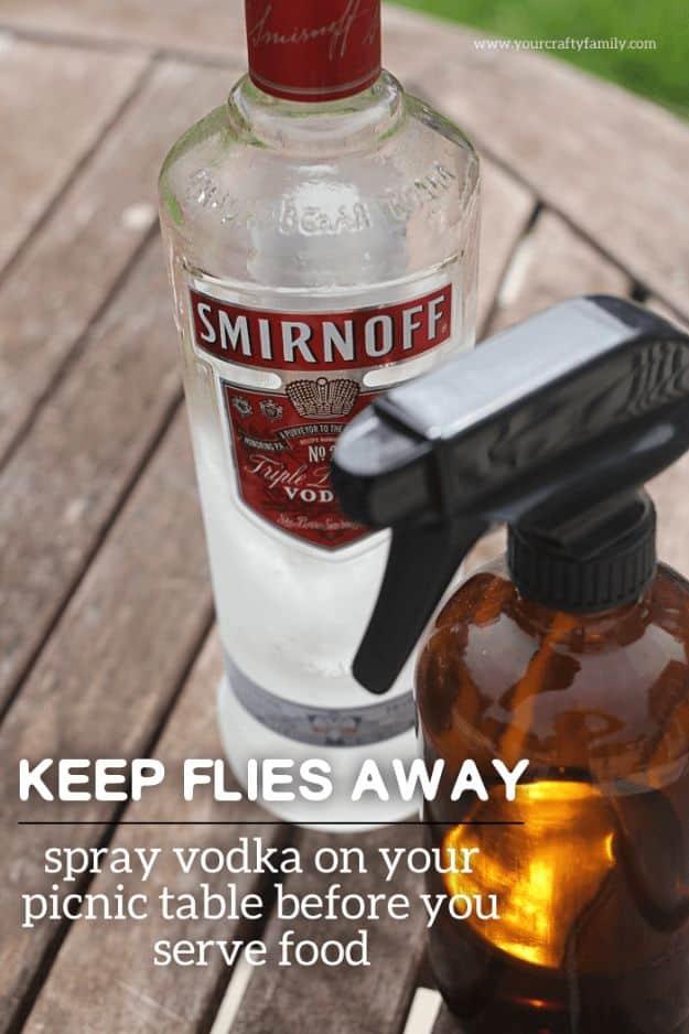 Best Ways to Get Rid of Bugs - Keep Flies Away From Food - Easy Tips and Tricks to Get Rid of Roaches, Ants, Fleas and Flies - DIY Ways To Exterminate and Elimiate Pests from Your