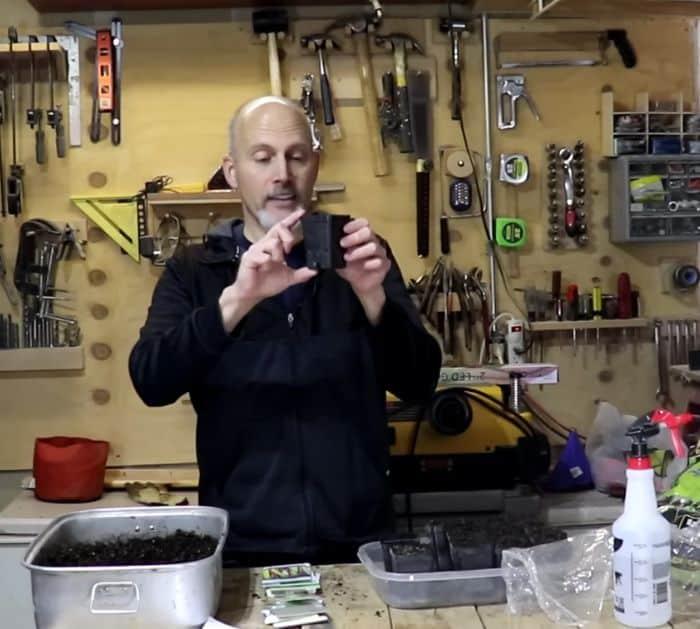 What Seeds Are Best To Plant In January