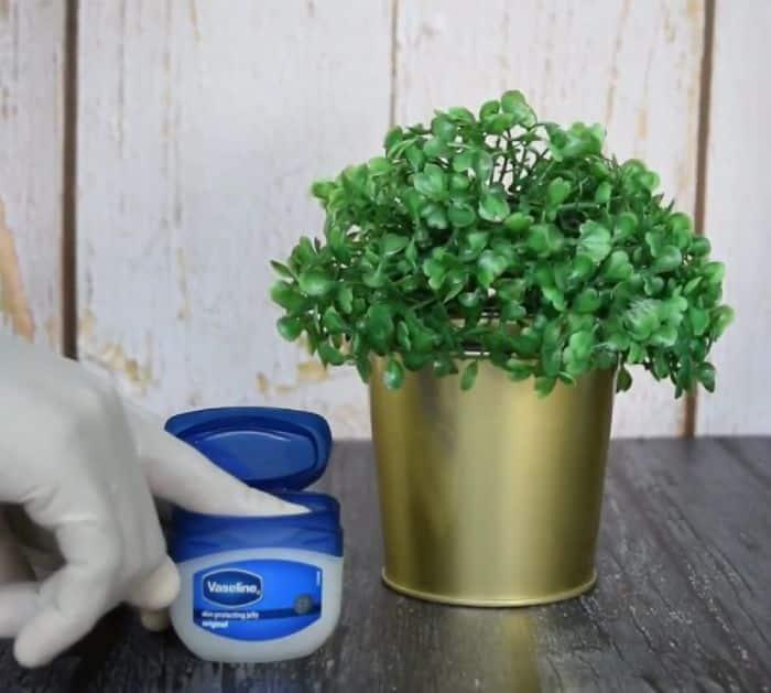 Clever Vaseline Hacks For Gardeners