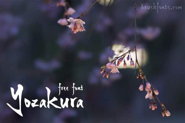 Best Free Fonts To Download for Crafts and DIY Projects - Yozakura - Cute, Cool and Professional Looking Font Ideas for Teachers, Crafters and Wedding Decor - Calligraphy, Script,