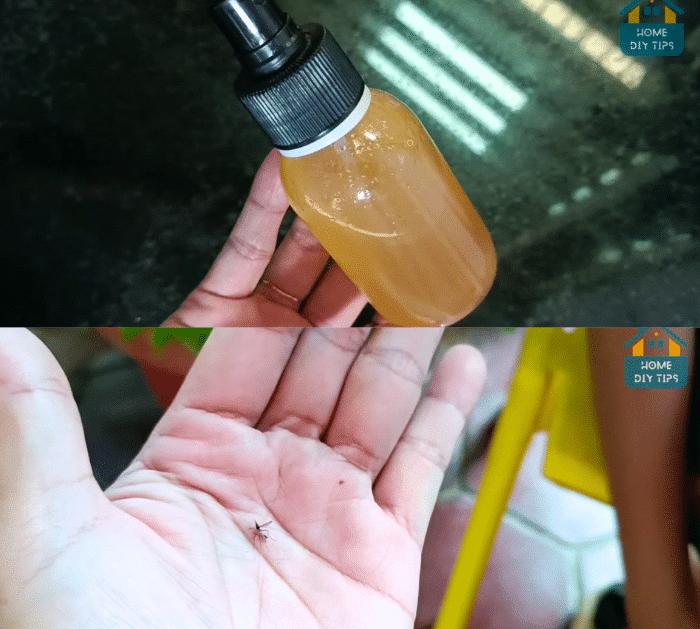 How to Make an Insect Repellent