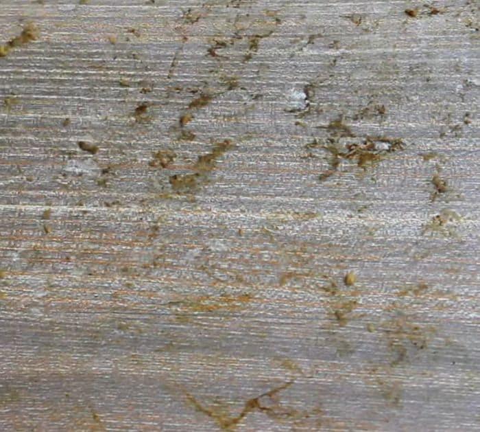 Easy Hardwood Floor Cleaning Tips and Hacks