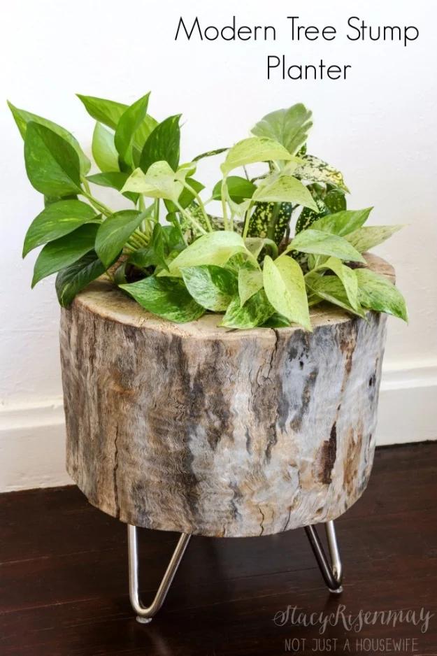 Modern Tree Stump Planter, a plant lover's easy upgrade, and a look that gets noticed the moment guests walk in