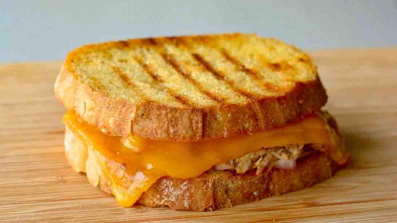 Cheesy Tuna Melt Sandwich Recipe