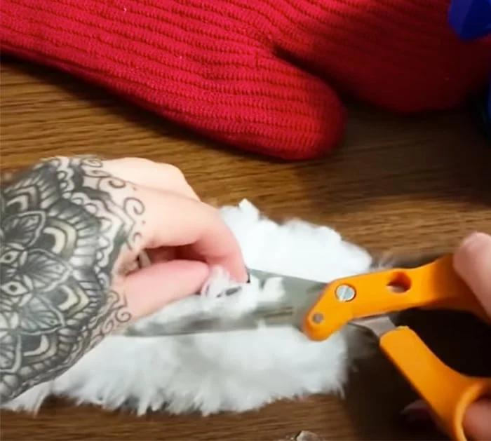 Use Oven Mitt To Make Christmas Hanging - Holiday Crafts - DIY Wall Hangings