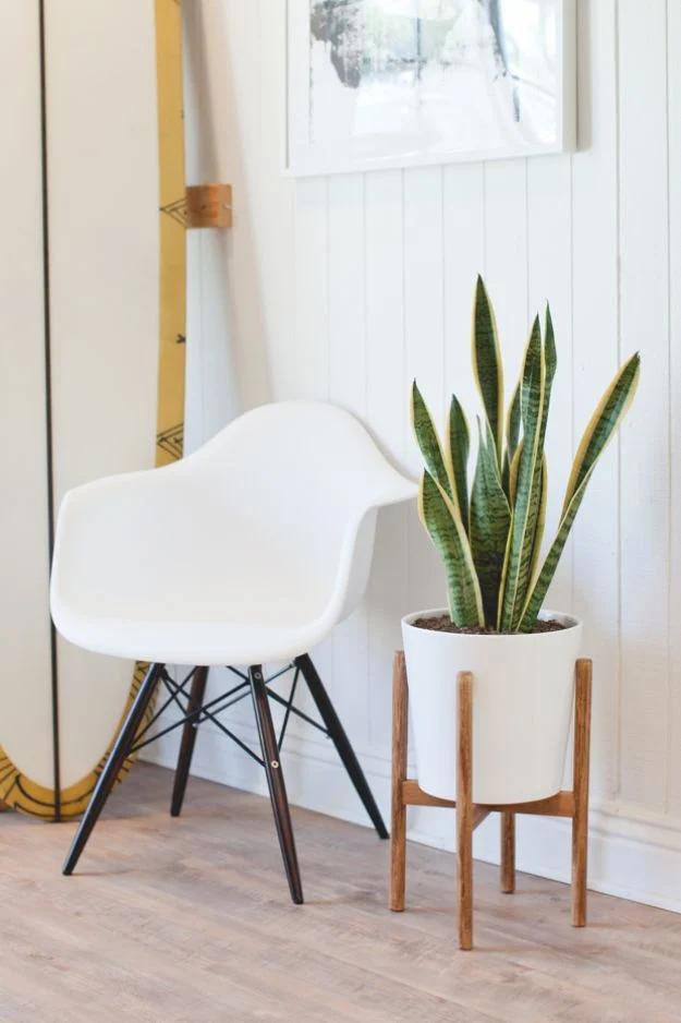 Midcentury-Inspired Plant Stand, a project worth trying this weekend and a popular pick from this roundup
