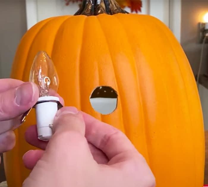 Coffee Cup Pumpkin Holder - DIY Pumpkin Crafts