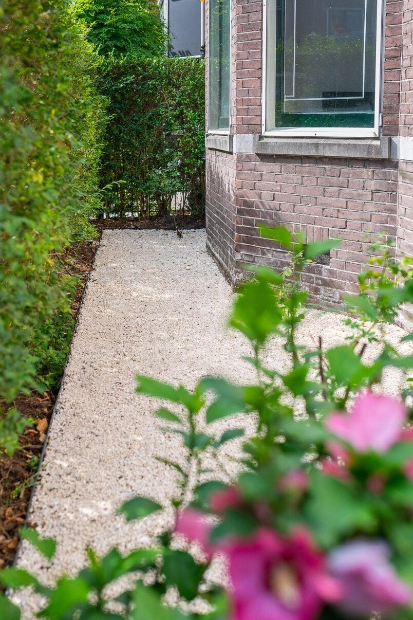 Pale gravel garden path running along the side of a brick house, past a green hedge and flowering shrub