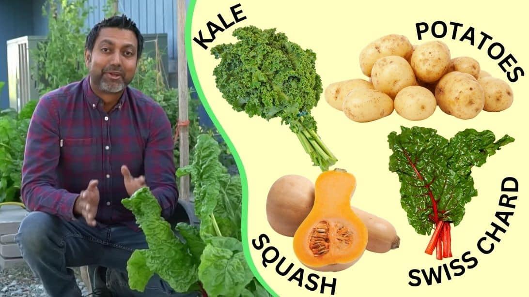 8 Best Seeds You Must Grow in July