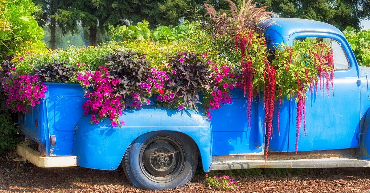 45 Pickup Truck Planter Ideas