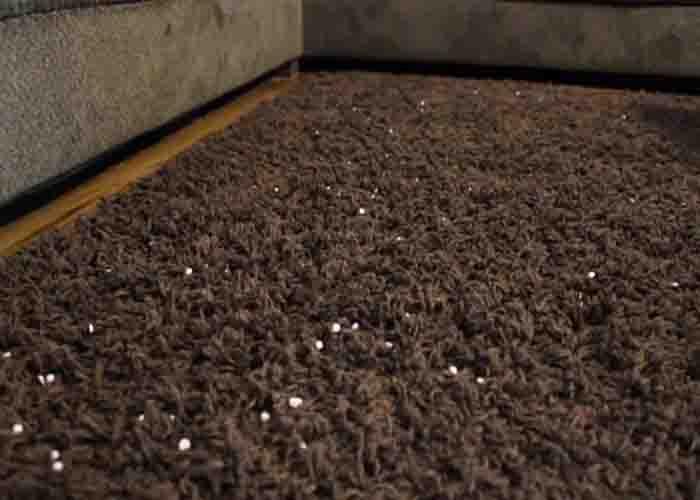 Sprinkling some Downy unstopables into your carpet to make it smell fresh