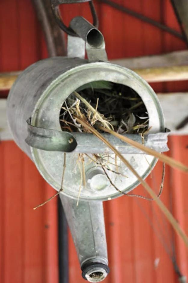 DIY Bird Houses - Old Watering Can Birdhouse - Easy Bird House Ideas for Kids and Adult To Make - Free Plans and Tutorials for Wooden, Simple, Upcyle Designs, Recycle Plastic and C