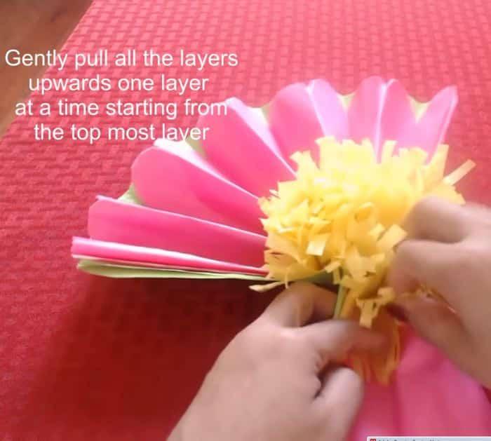 How to Make Tissue Paper Flowers Project