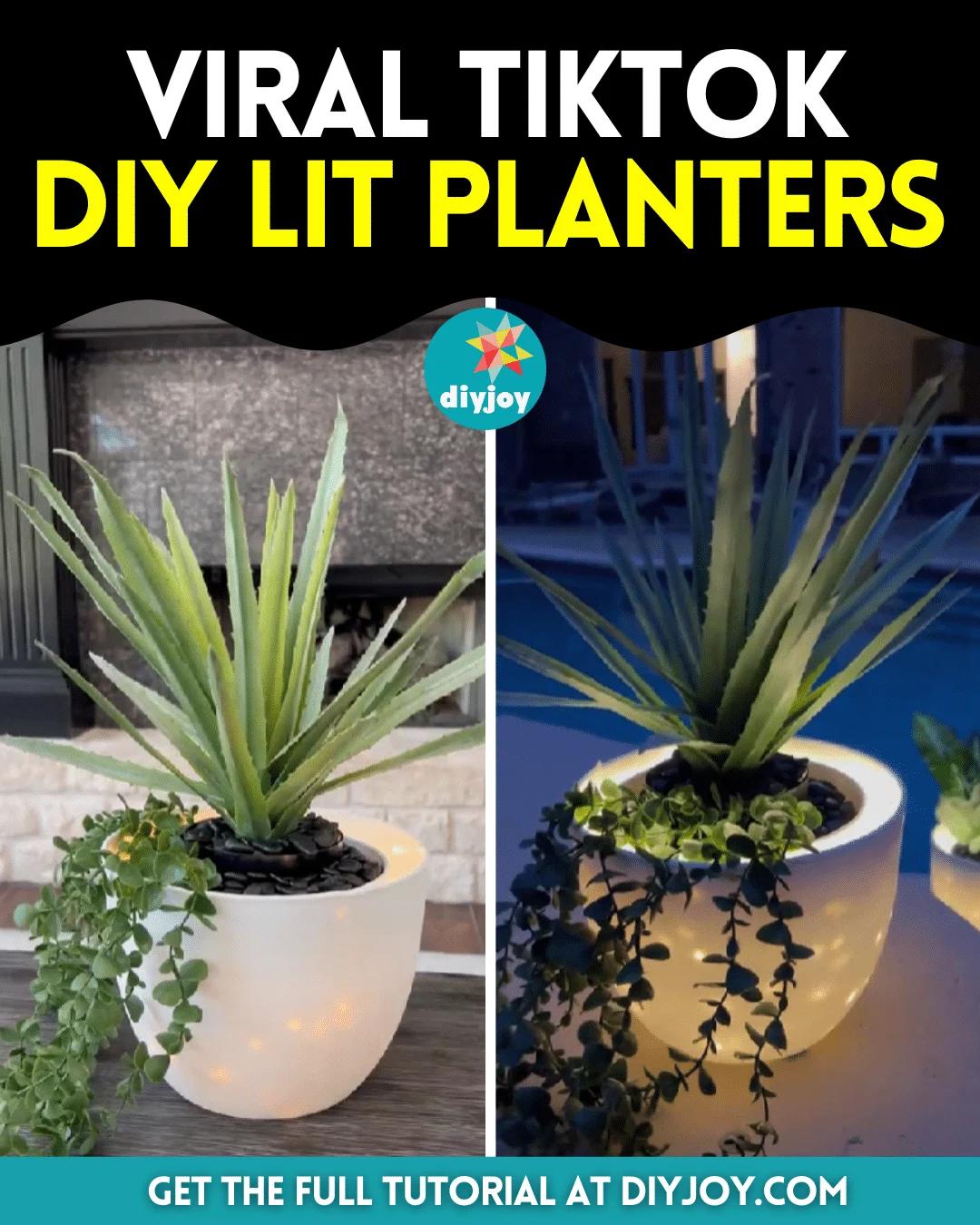 Viral TikTok DIY Lit Planters