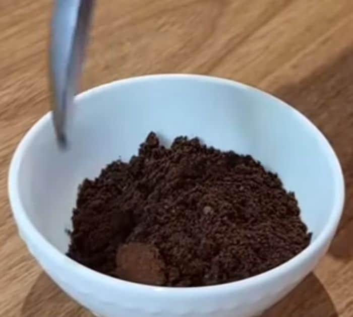 What You Need to Make a Natural Mosquito Repellent