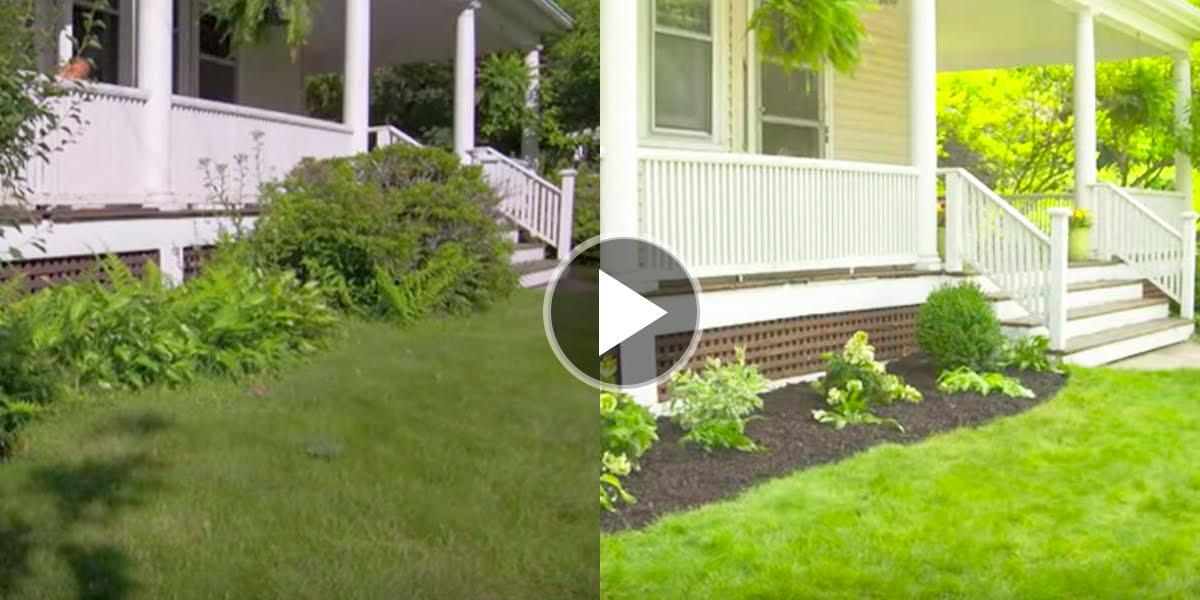 They Pull Up All Of Her Existing Plants. Watch What They Do Next — Great Tips!