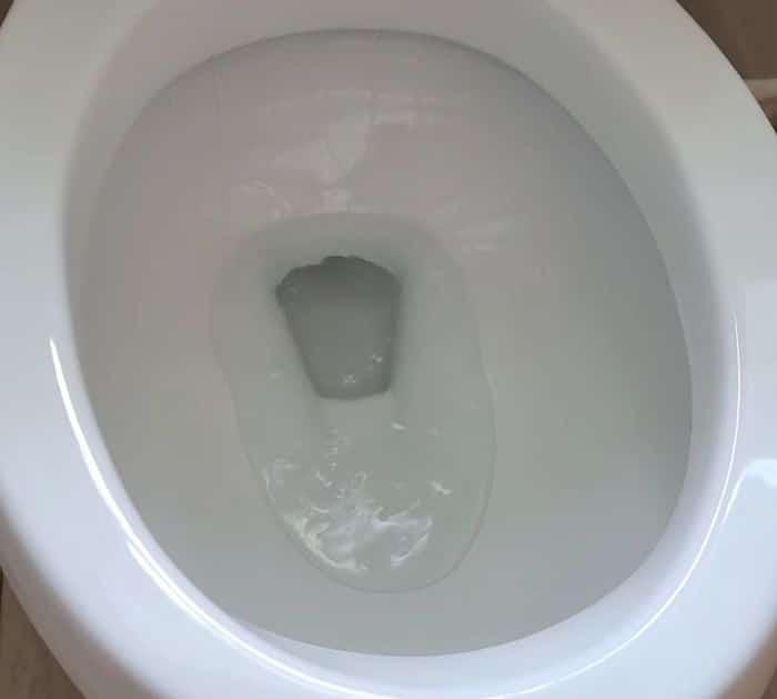 Simple Toilet Cleaning Tutorial