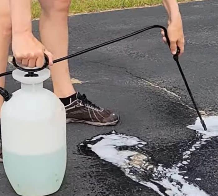 How to Get Rid of Ants