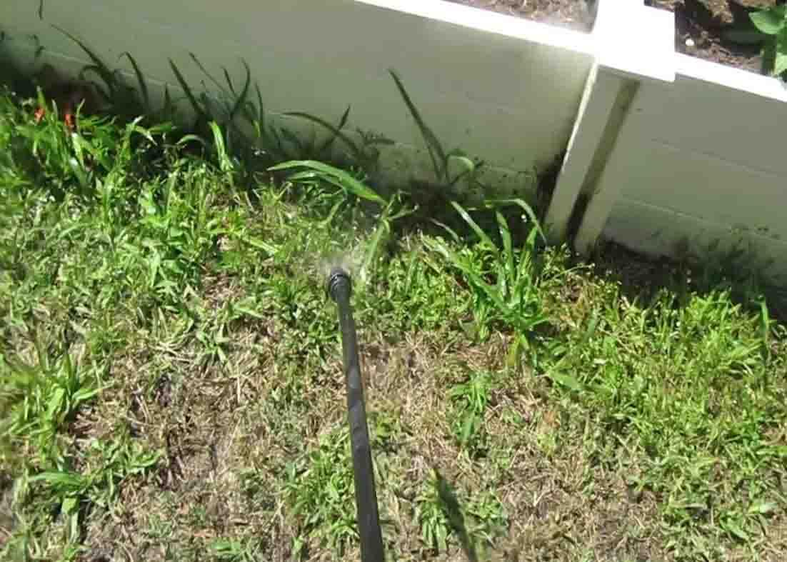 Spraying the DIY solution to the grass and weeds
