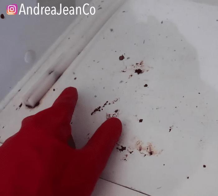 Easy Way to Clean Rusty Fridge