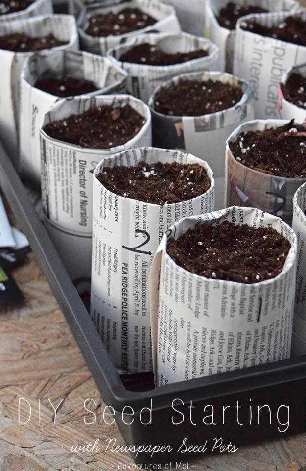 DIY Seed Starting, fast enough to finish before the afternoon heat sets in and blooms that return even stronger later on