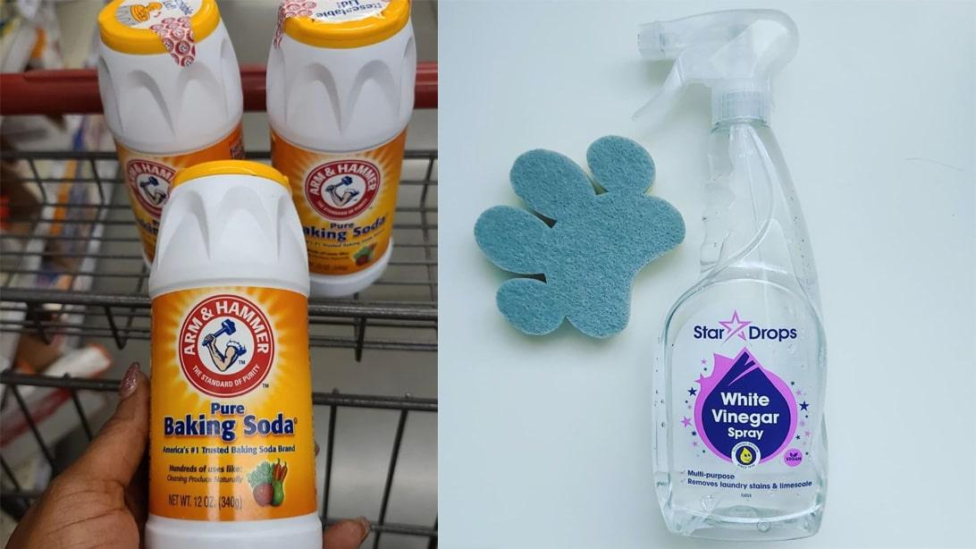 How to Get Rid of Pet Urine Smell
