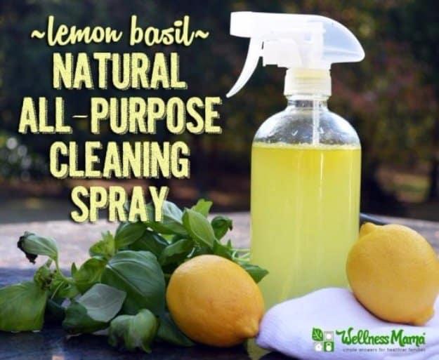 Lemon Basil Natural Cleaning Spray Recipe, safer to use around kids and pets at home and worth the little effort
