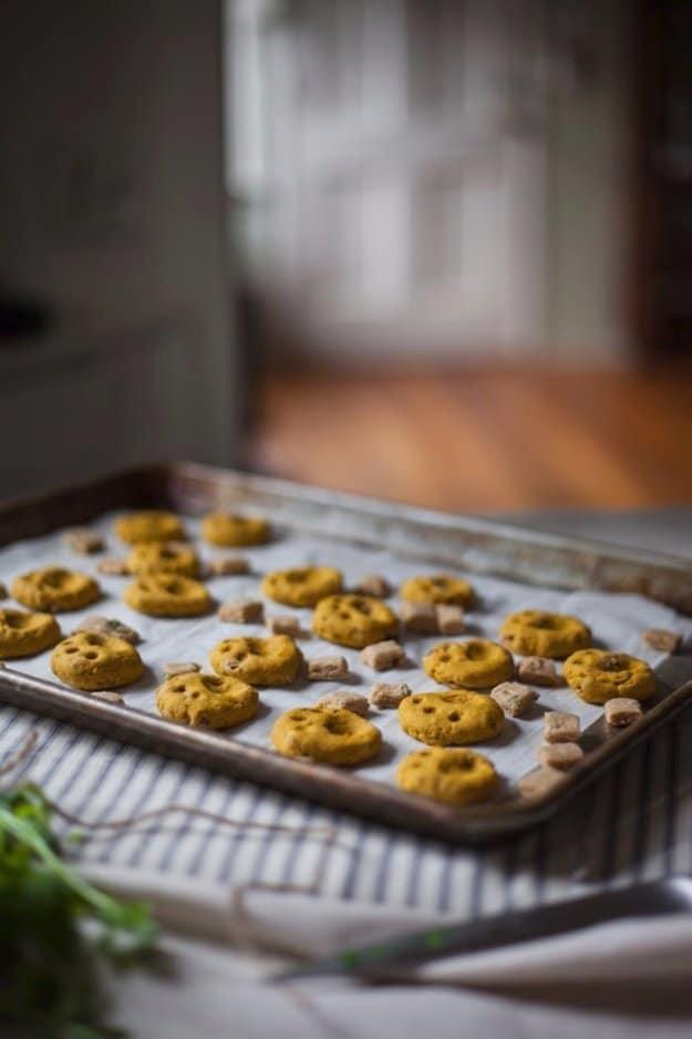 Tuna and Cheddar Cat Crisps, stored in the fridge for treats all week and one worth saving for later