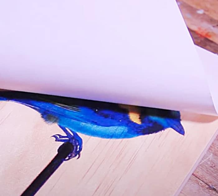 Nature Photo Transfer - How To Make aa Photo Transfer On Wood - Wood Photo