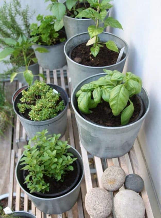 Terraced Herb Garden, no power tools required for the basic build and something worth showing off once it is done