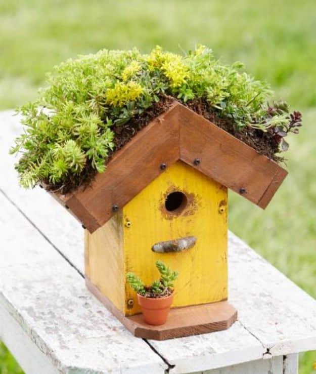 DIY Bird Houses - Living-Roof Birdhouse - Easy Bird House Ideas for Kids and Adult To Make - Free Plans and Tutorials for Wooden, Simple, Upcyle Designs, Recycle Plastic and Creati