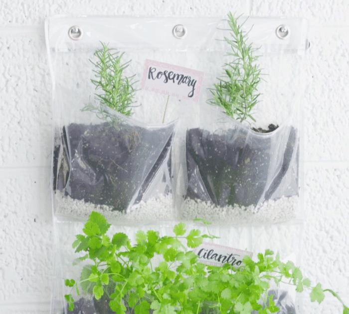 How to Make a DIY Indoor Herb Garden Organizer