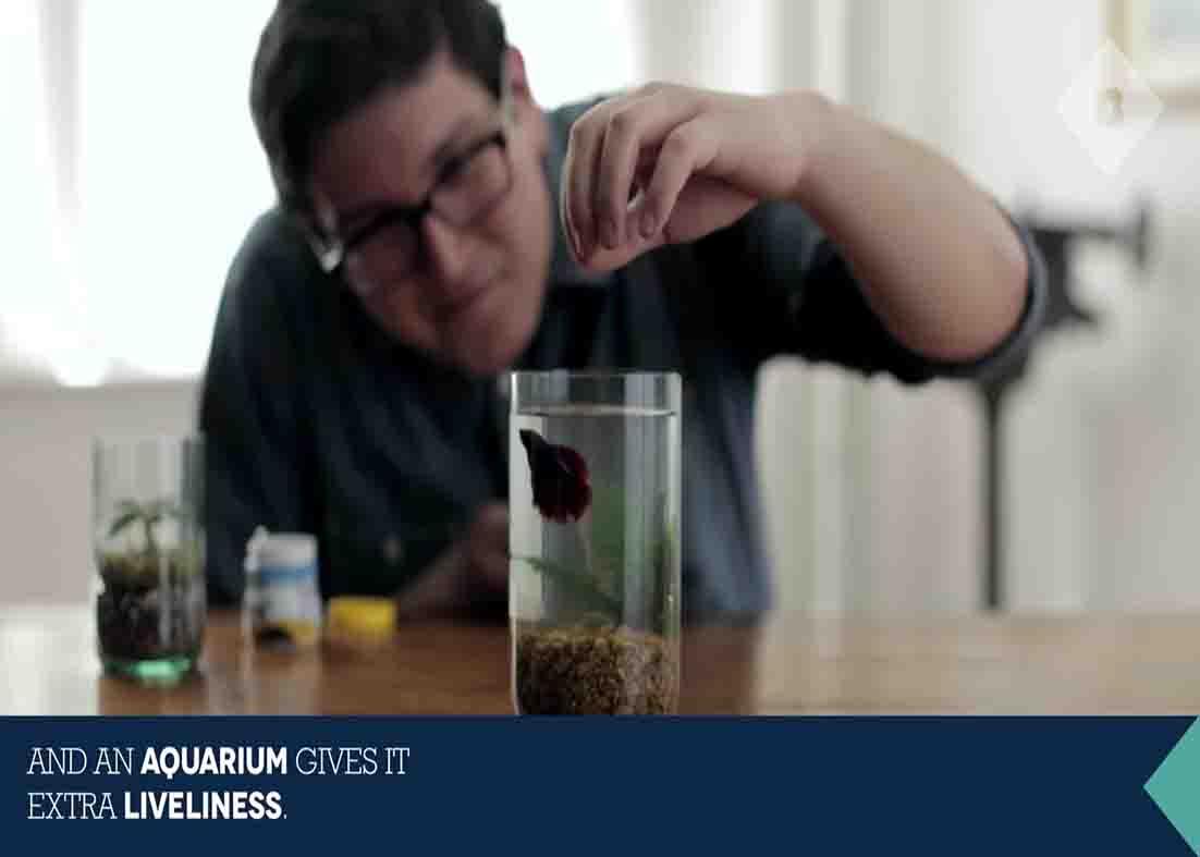 Repurpose your wine bottle by making them into a mini aquarium