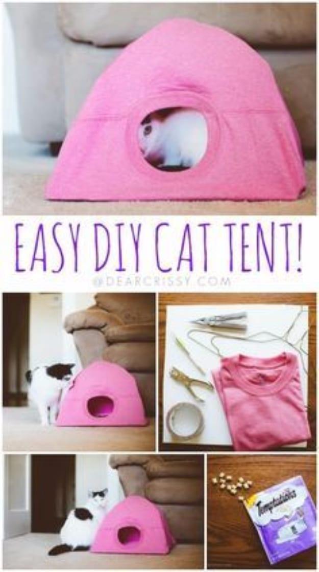 Easy DIY Cat Tent, quick and cheap to try tonight and a trick worth passing along to everyone who asks