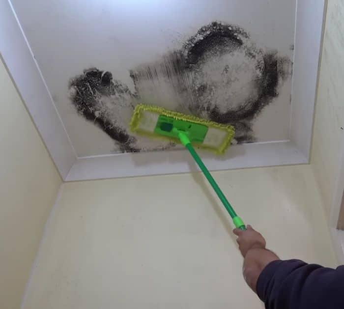 Easy Way to Get Rid of Molds for Good