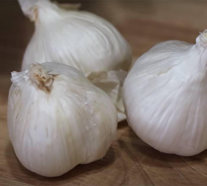 how to keep garlic fresh
