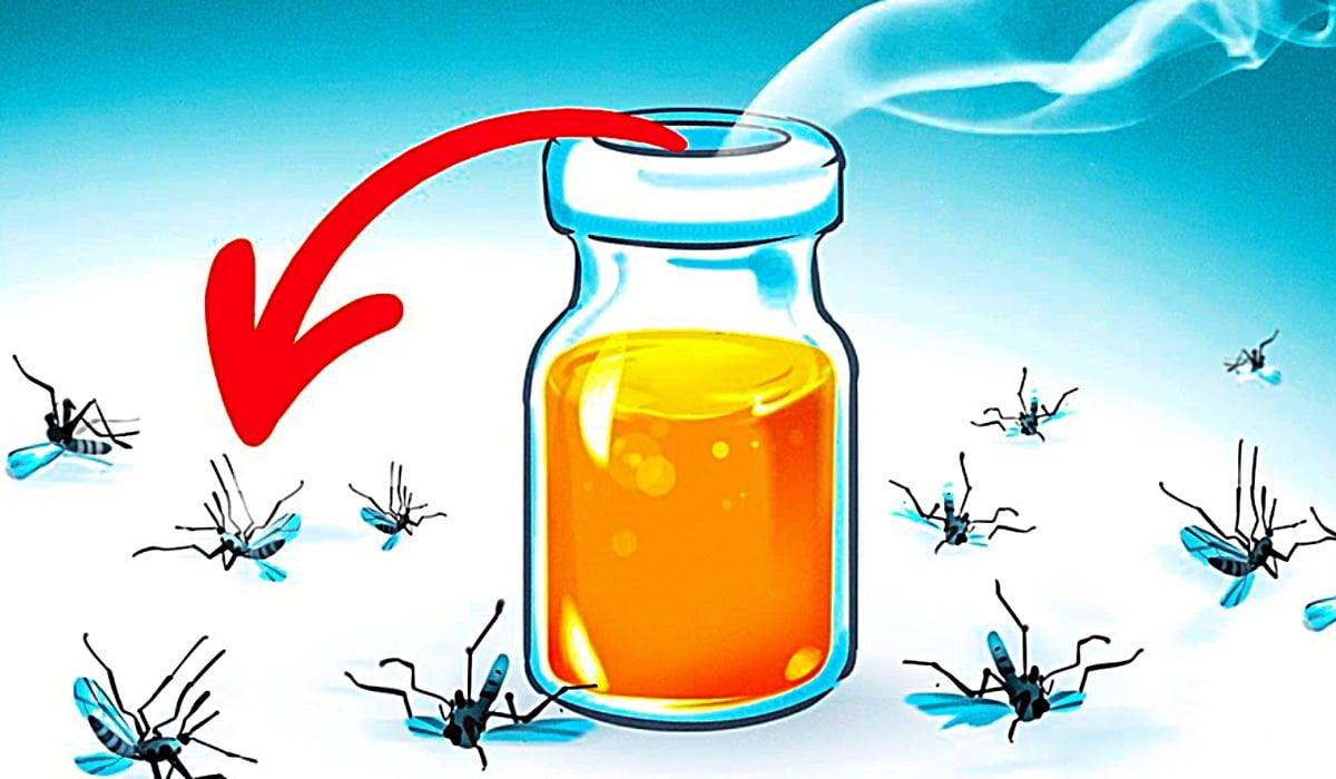 How To Get Rid Of Mosquitos In The Yard