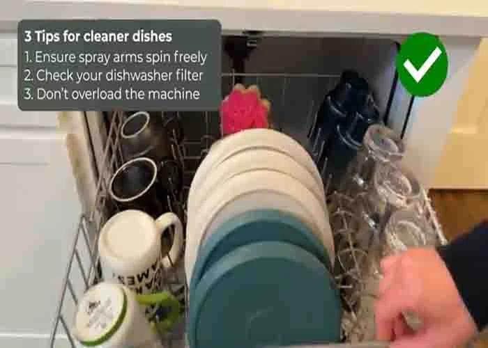 Loading the plates in the bottom rack of the dishwasher