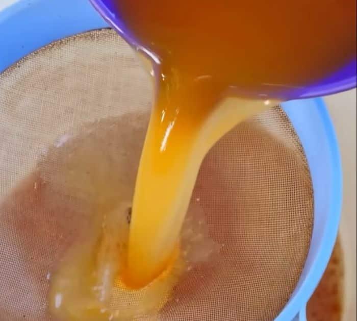 Bed Bugs Natural Treatment