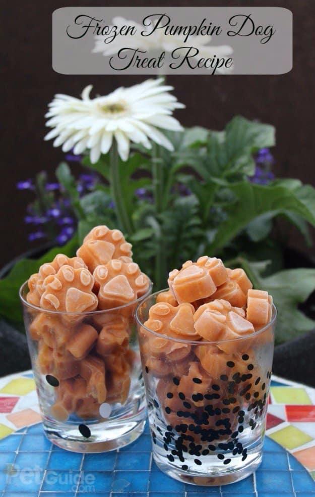 Frozen Pumpkin Dog Treat Recipe, a homemade pet treat, made with simple ingredients that are safe for pets