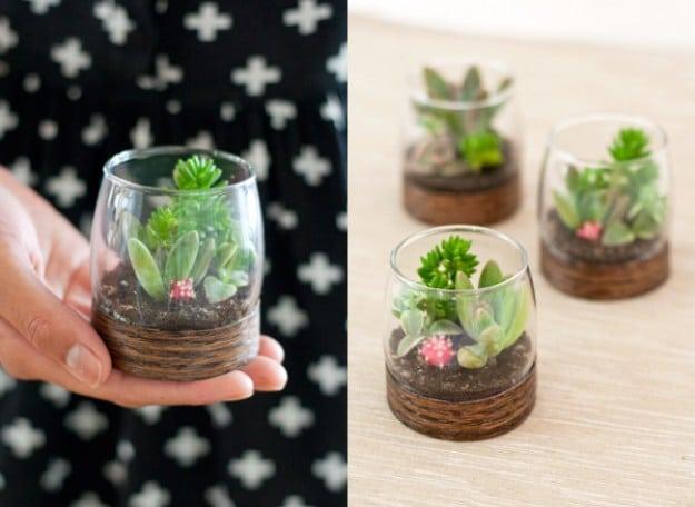 DIY Wood Based Succulent Terrariums, a project that makes a great weekend activity and one worth pinning for later