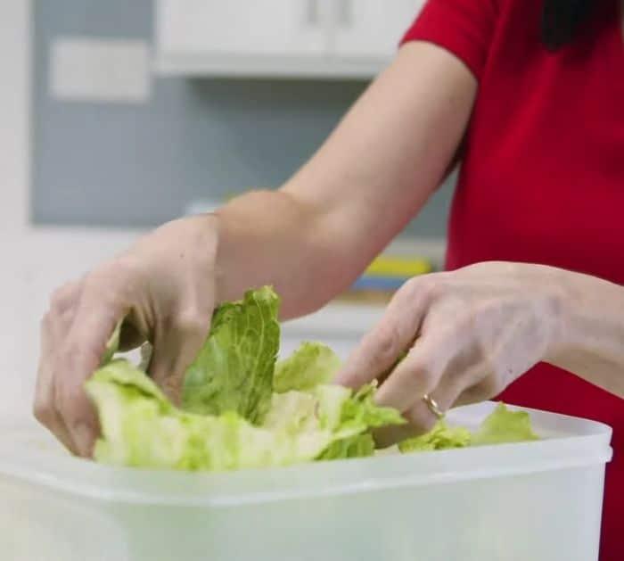 How To Store Lettuce For A Week