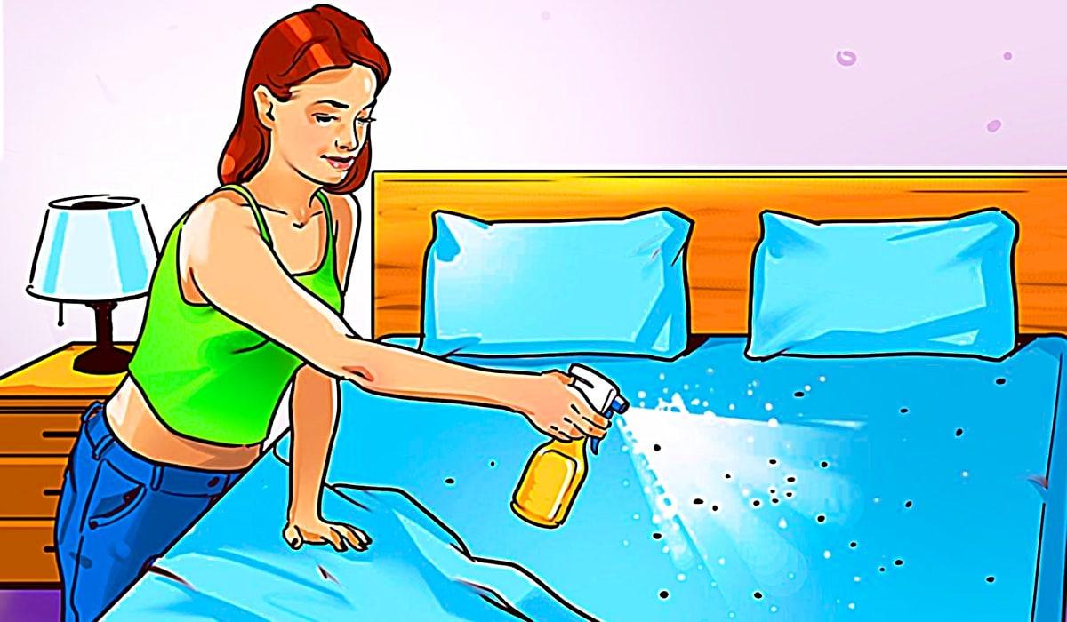 How To Get Rid Of Fleas Naturally