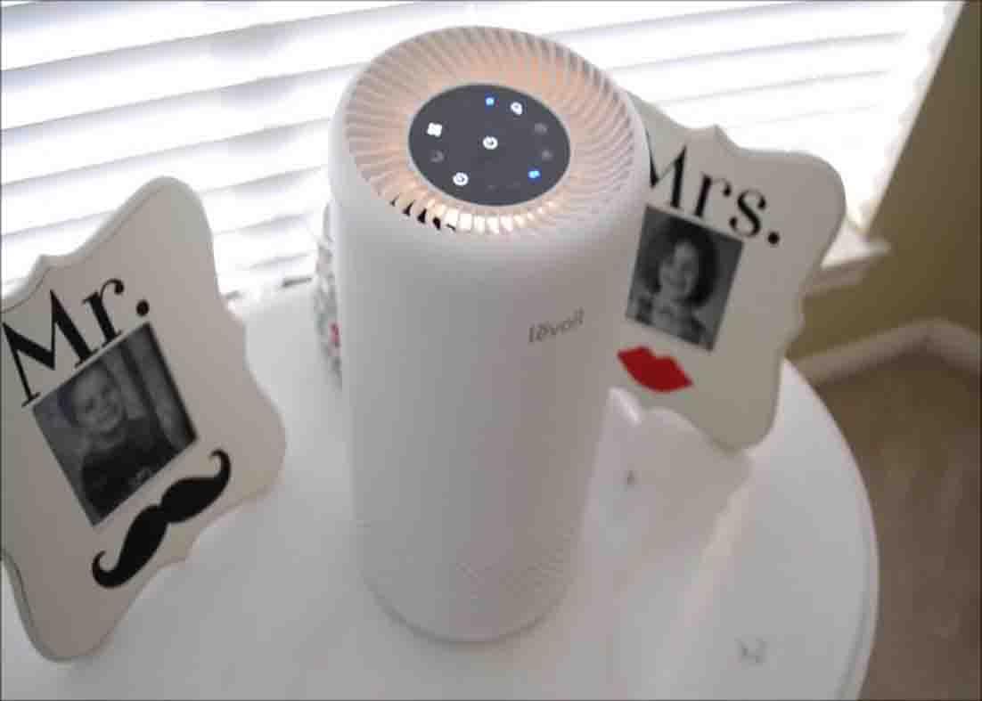 Using air purifier to make your home smell fresh even with dogs