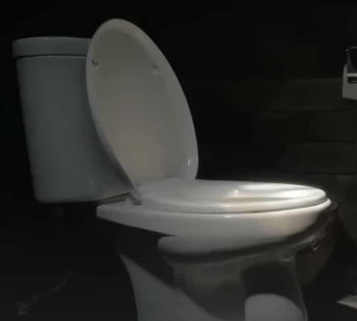 Easy And Cheap Toilet Cleaning Hacks