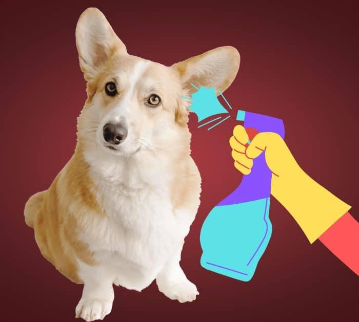 Natural Dog Or Cat Fleas Remedy